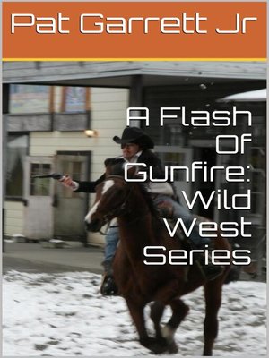 cover image of A Flash of Gunfire